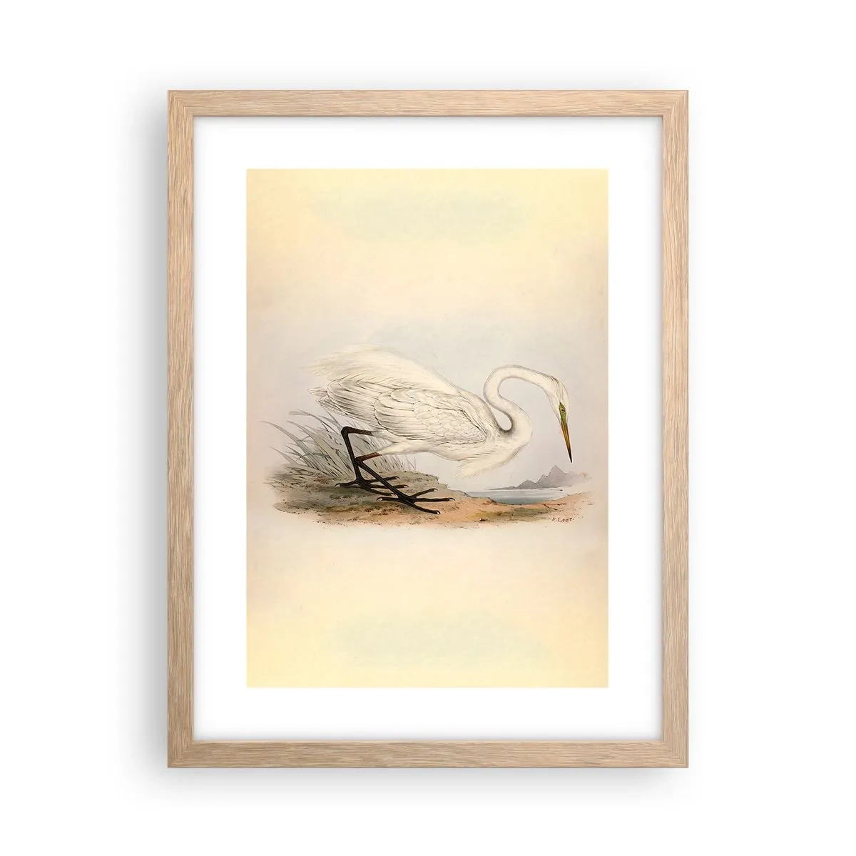 Affisch i ram av ljusek - En dam i vassen - 30x40 cm