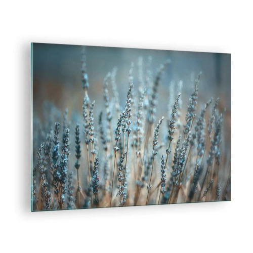 Glastavla - Bild på glas - Ett lavendelfält i mjukt, svalt ljus - 70x50cm - Doftande åkermark - Modern väggdekoration för vardagsrum och sovrum ARTTOR