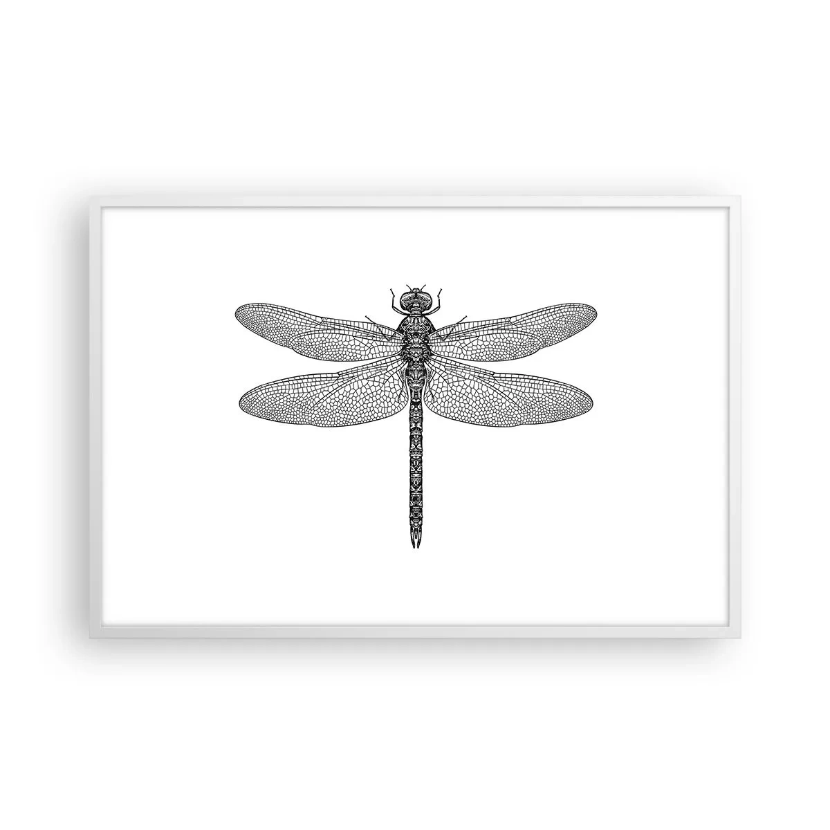 Affisch i vit ram - Precision i naturen - 91x61 cm