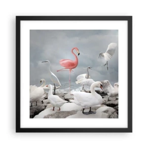 Affisch i svart ram - Hur har jag hamnat här? - 40x40 cm