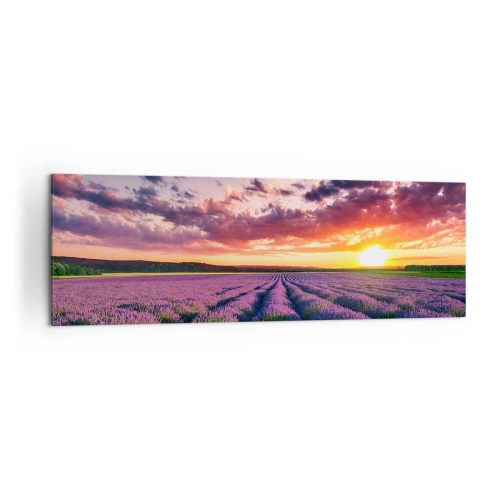 Canvastavla - Bild på duk - Lavandelvärld - 160x50 cm