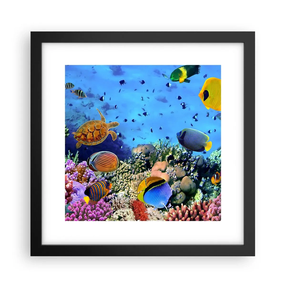 Affisch i svart ram - Vad vet vi om livet... - 30x30 cm