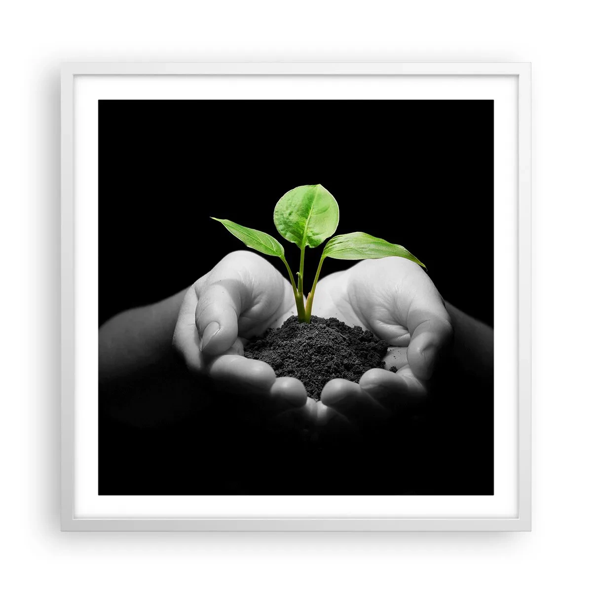 Affisch i vit ram - Jag älskar naturen och skyddar den - 60x60 cm