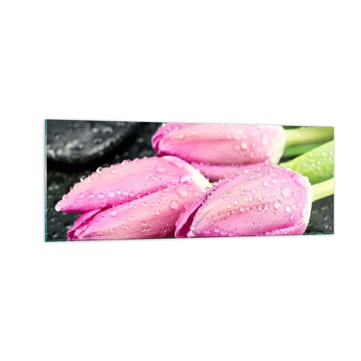 Glastavla - Bild på glas - Tre i lila färg på en sten - 140x50 cm