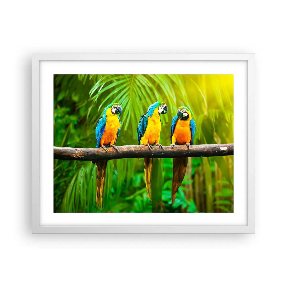 Affisch i vit ram - Har du hört att hon...? - 50x40 cm