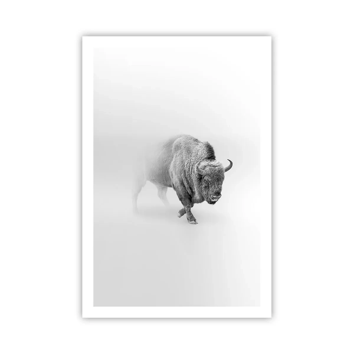 Affisch - Präriens kung - 61x91 cm