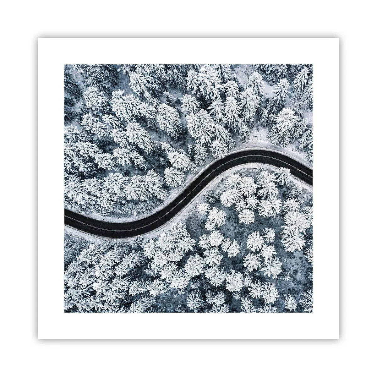 Affisch - Genom vinterskogen - 40x40 cm