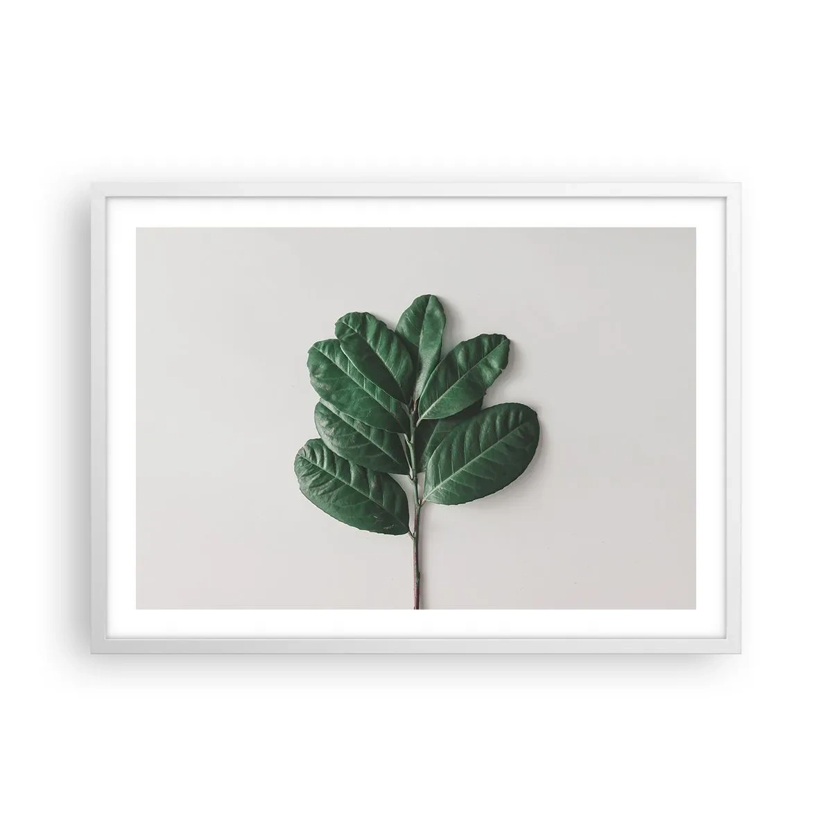 Affisch i vit ram - Själva naturens bild - 70x50 cm