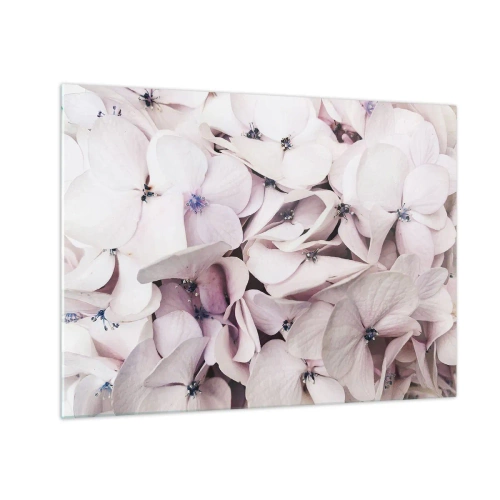 Glastavla - Bild på glas - Fina ljusrosa hortensior i närbild - 70x50cm - I en flod av blommor - Modern väggdekoration för vardagsrum och sovrum ARTTOR