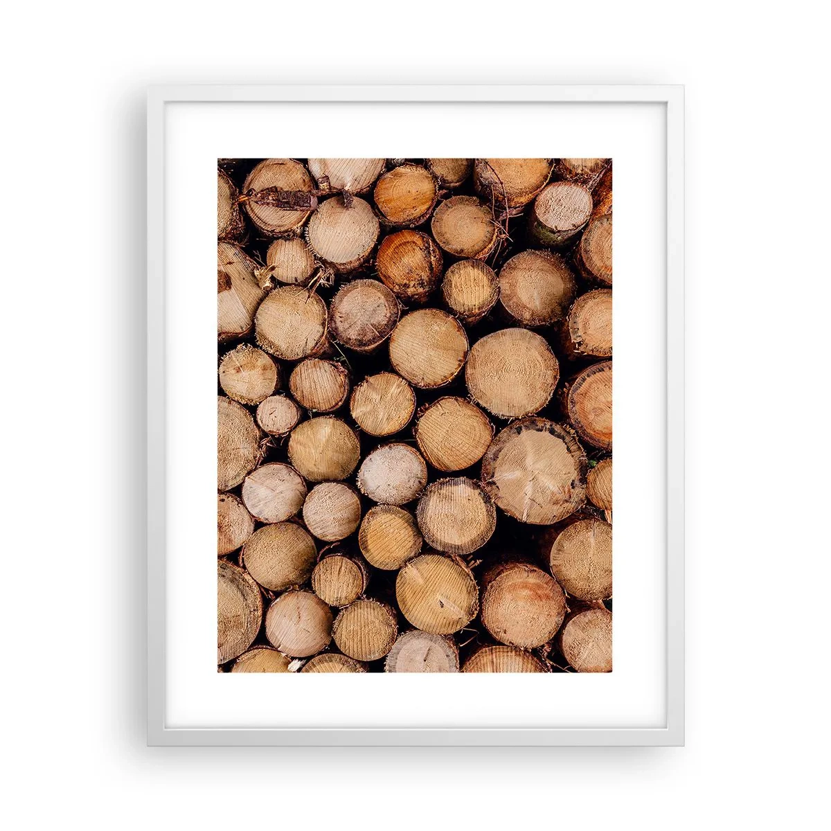 Affisch i vit ram - Ny början - 40x50 cm