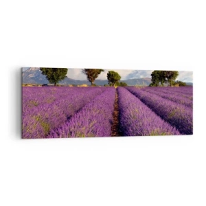 Canvastavla - Bild på duk - Lavendelrader - 140x50 cm