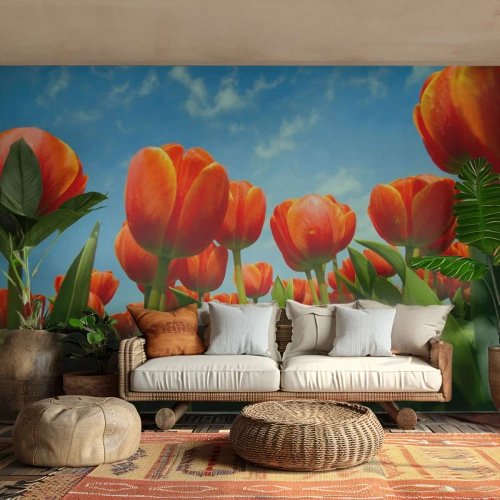 Fototapet Premium Sand - Förutom blå himmel behöver vi inget annat i livet - Blommor, Tulpaner, Natur - 250x175 cm