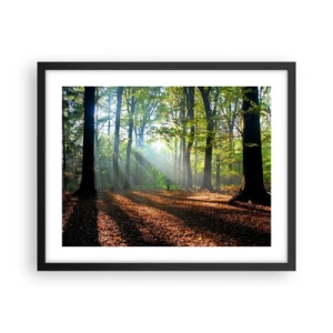 Affisch i svart ram - Sken-och skuggspel - 50x40 cm