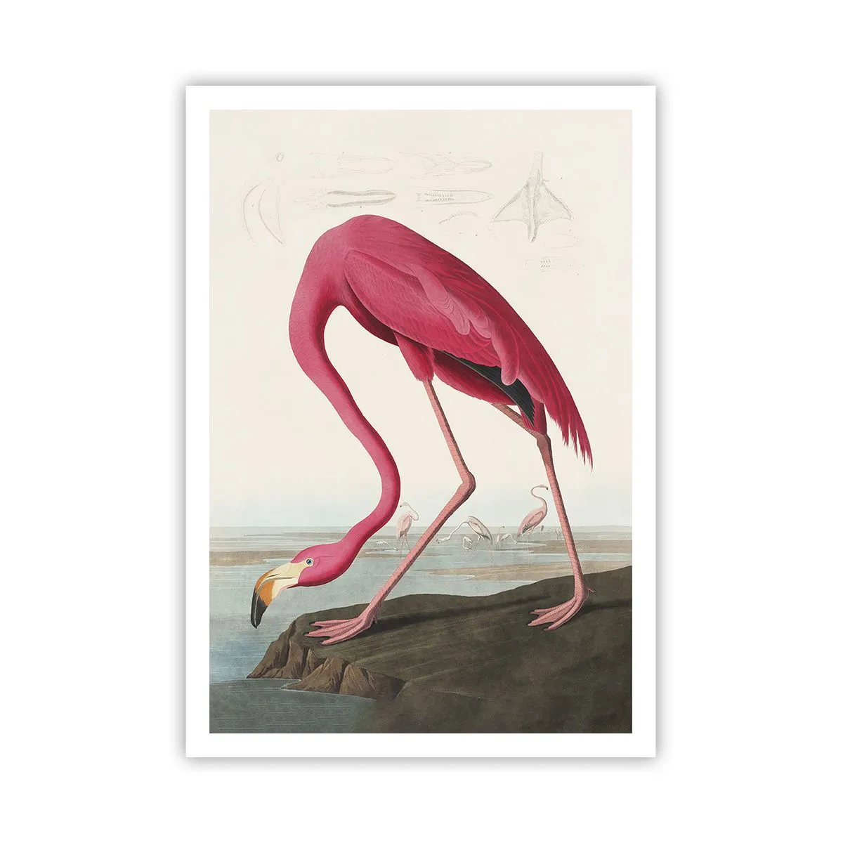 Affisch - Underlig varelse - 70x100 cm