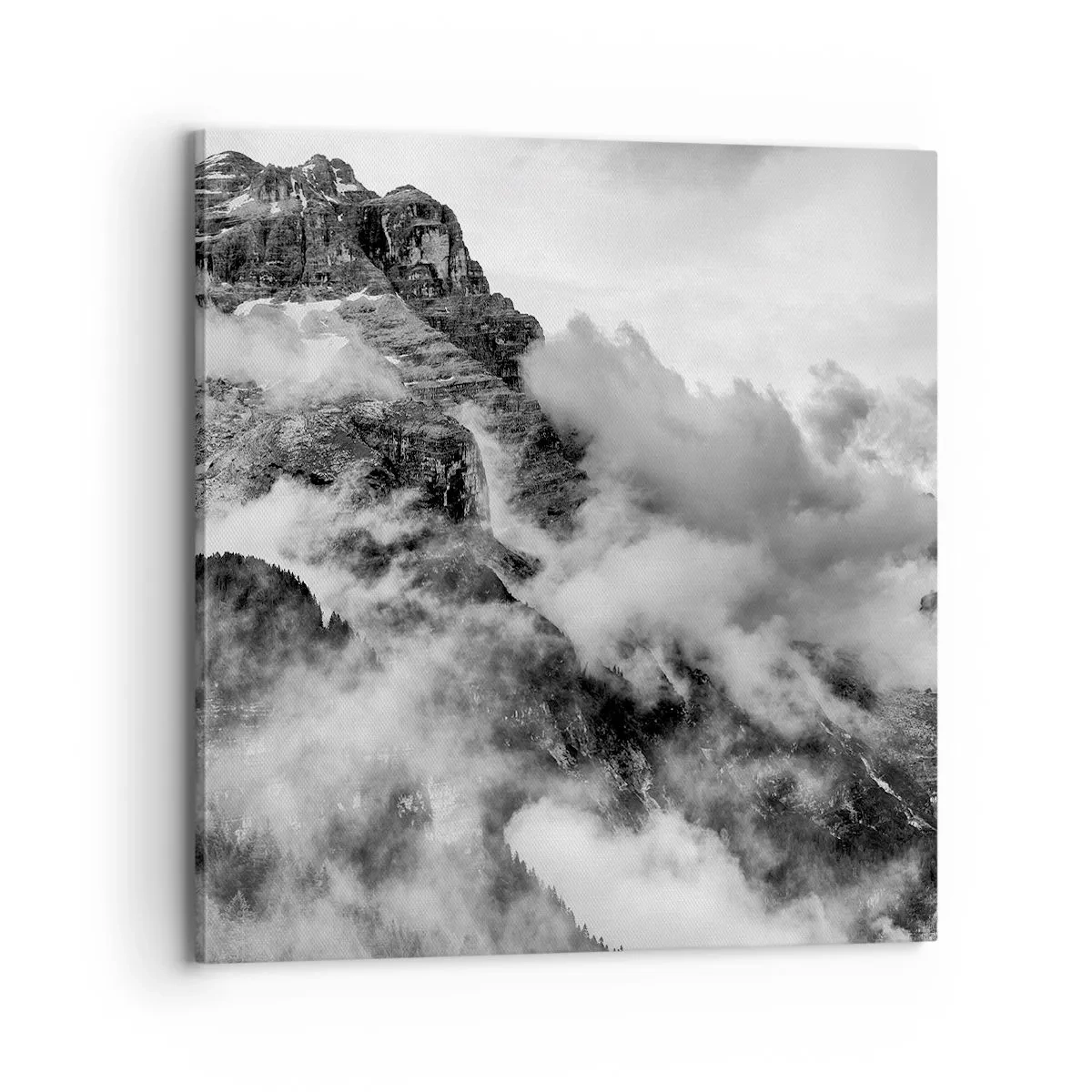 Canvastavla - Bild på duk - Vackra och grymma - 70x70 cm