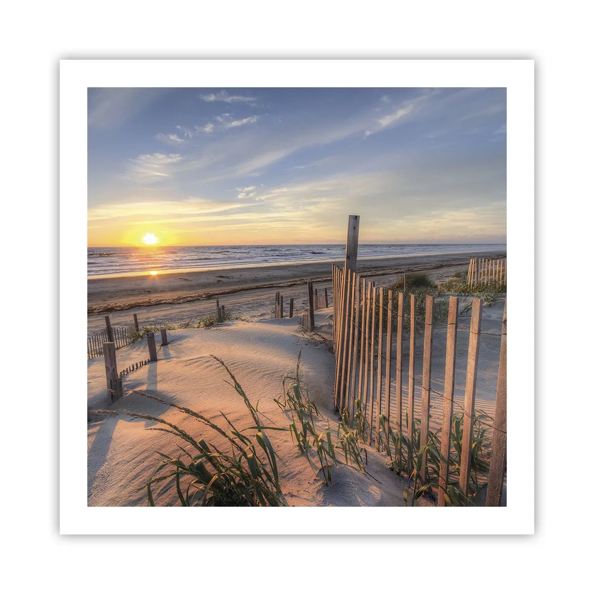 Affisch - Vindens sken och skugga - 60x60 cm