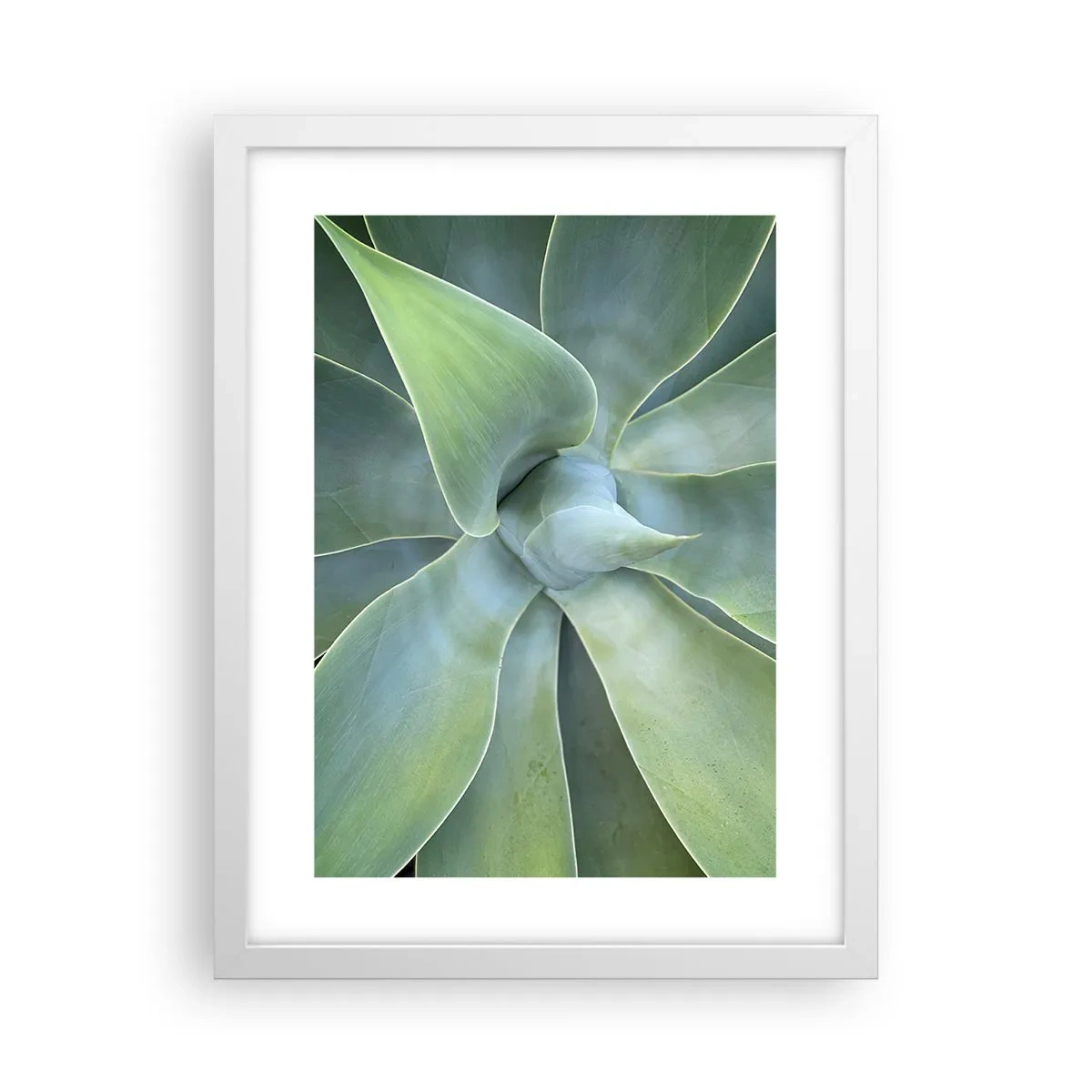 Affisch i vit ram - Det gröna föds - 30x40 cm