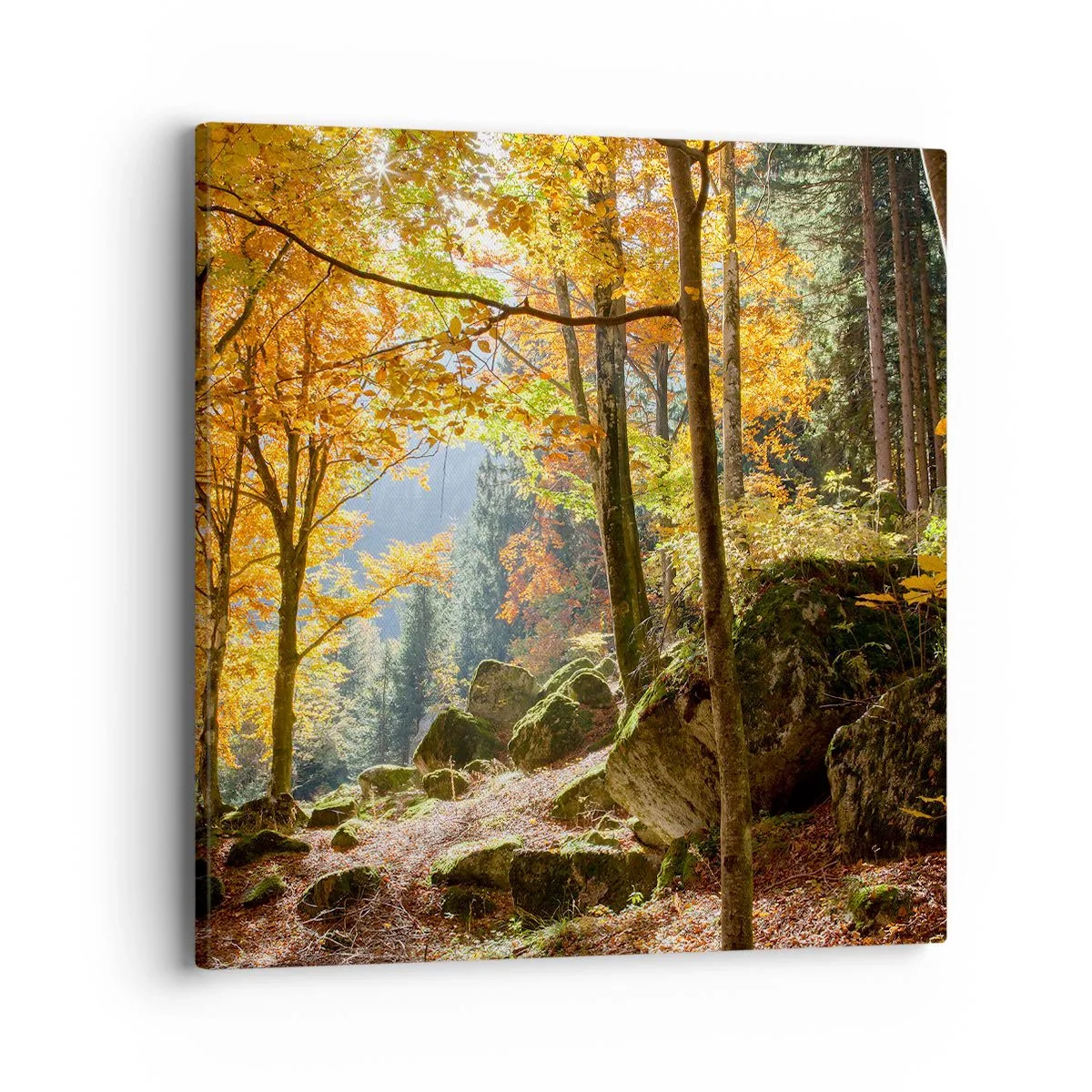 Canvastavla - Bild på duk - Dags att vila - 40x40 cm