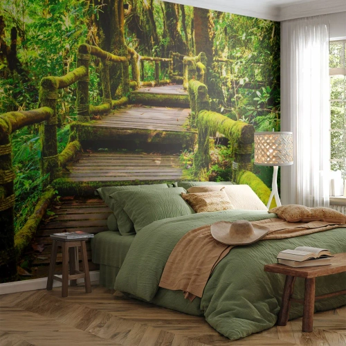 Fototapet på mått Självhäftande Deluxe Sticker - Grön korridor - Natur, Landskap, Skog
