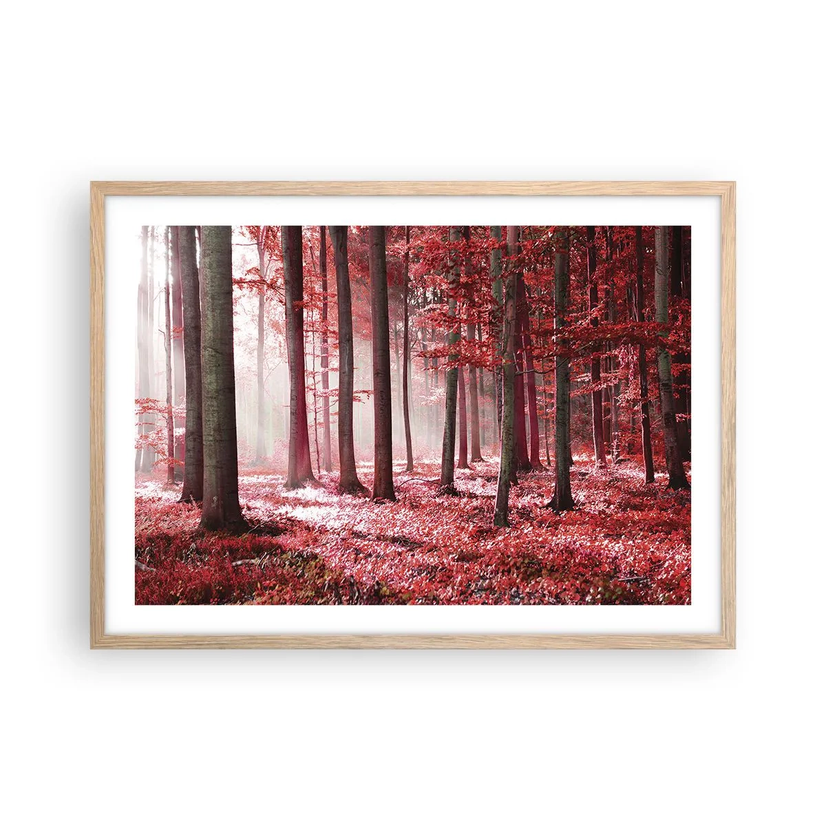 Affisch i ram av ljusek - Röd är lika vacker - 70x50 cm