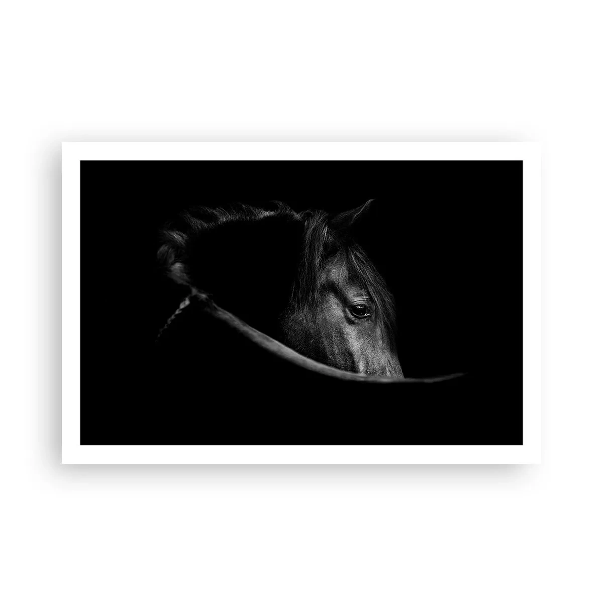 Affisch - Svart prins - 91x61 cm