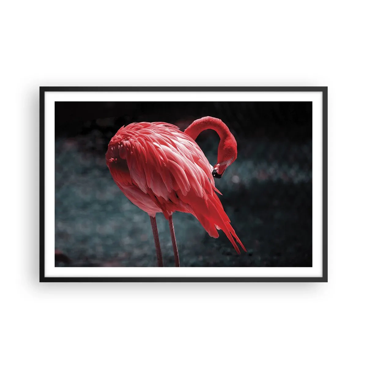 Affisch i svart ram - Djuprött naturpoem - 91x61 cm