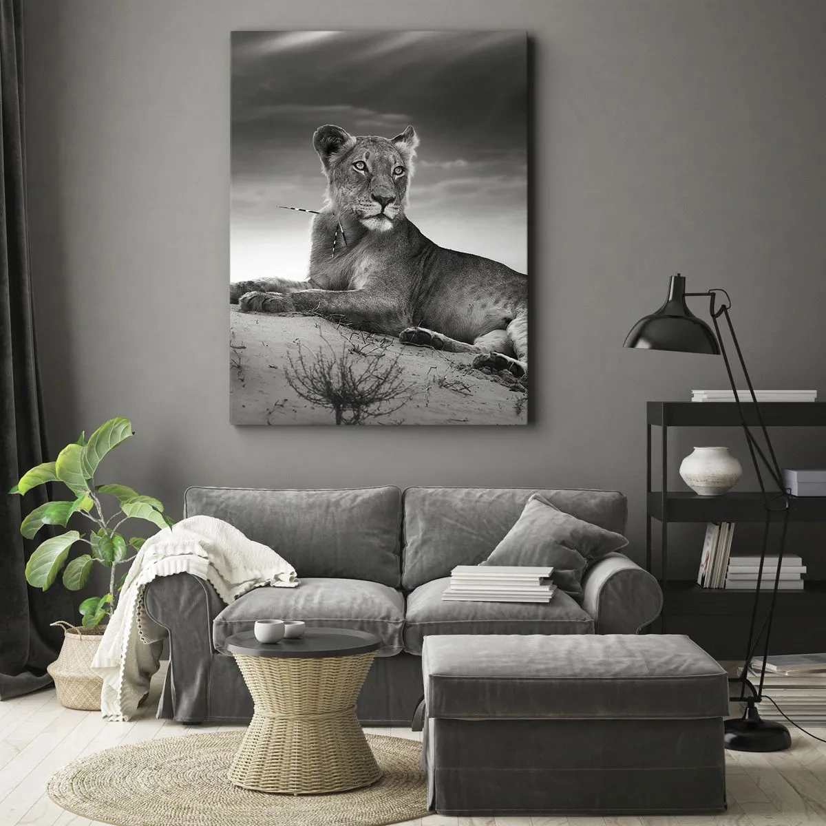 Canvastavla - Bild på duk - Öknens drottnings vila - 45x80 cm
