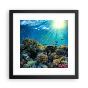 Affisch i svart ram - Undervatenskatter - 30x30 cm