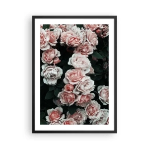 Affisch i svart ram - En bukett rosor i delikata nyanser av rosa mot en mörk bakgrund - 50x70cm - Rosansamble - Modern väggdekoration för vardagsrum och sovrum ARTTOR