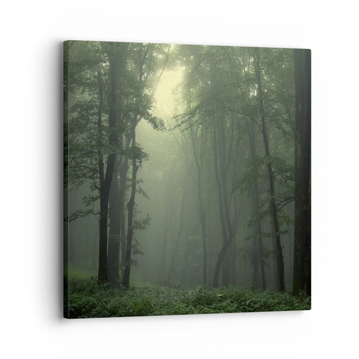 Canvastavla - Bild på duk - Innan skogen vaknar - 30x30 cm