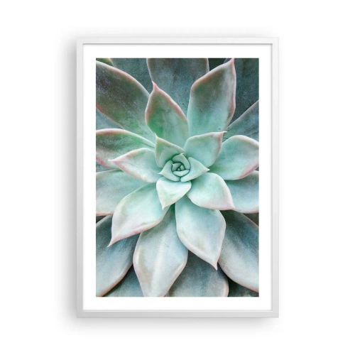 Affisch i vit ram - Öknens hjärta - 50x70 cm