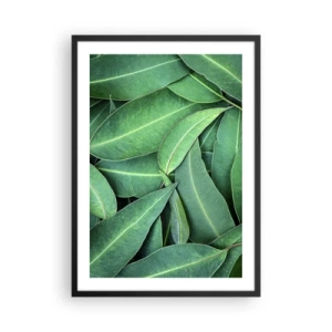 Affisch i svart ram - Gröna blad arrangerade i en tät komposition - 50x70cm - Saftiga och fräscha - Modern väggdekoration för vardagsrum och sovrum ARTTOR