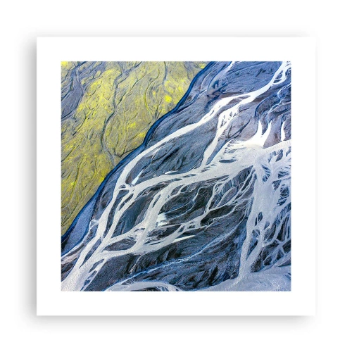 Affisch - Naturens grottmålningar - 40x40 cm