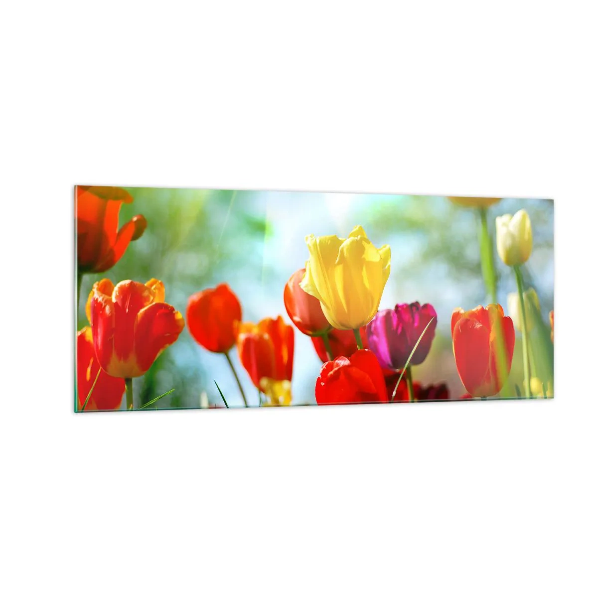 Glastavla - Bild på glas - Solens alla färger - 100x40 cm