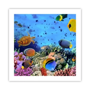 Affisch - Vad vet vi om livet... - 50x50 cm