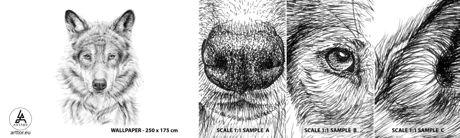 Fototapet Prov Standard Eco - En född ledare - Varg, Skiss, skandinavisk - 100x30 cm
