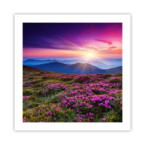 Affisch - Doftande örter - 50x50 cm