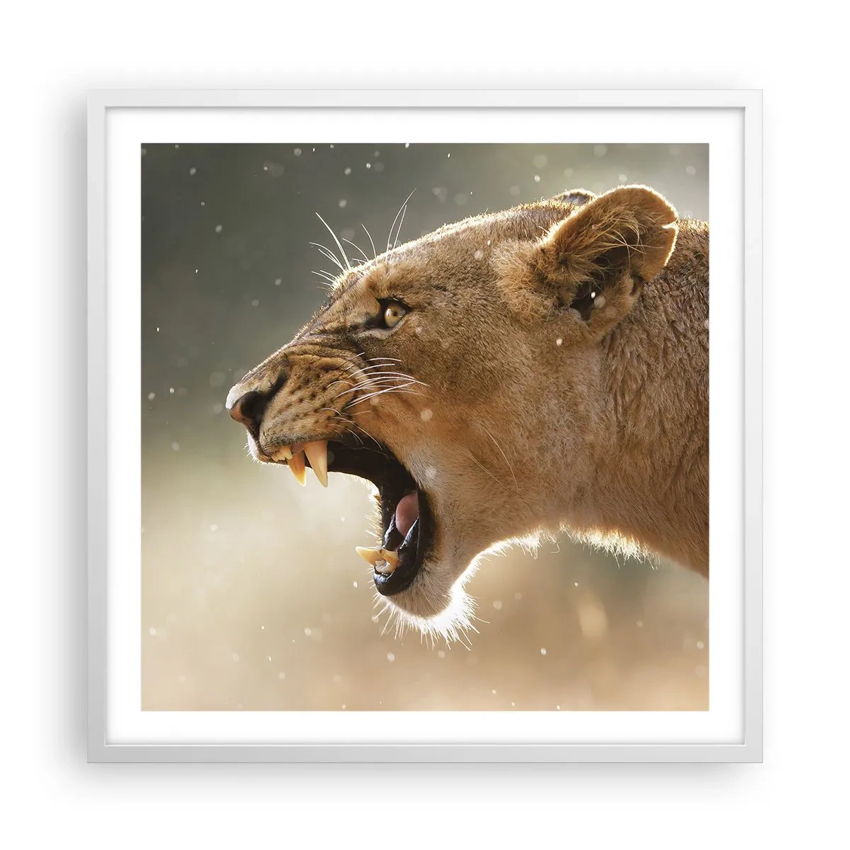 Affisch i vit ram - Försök att inte lyssna - 60x60 cm