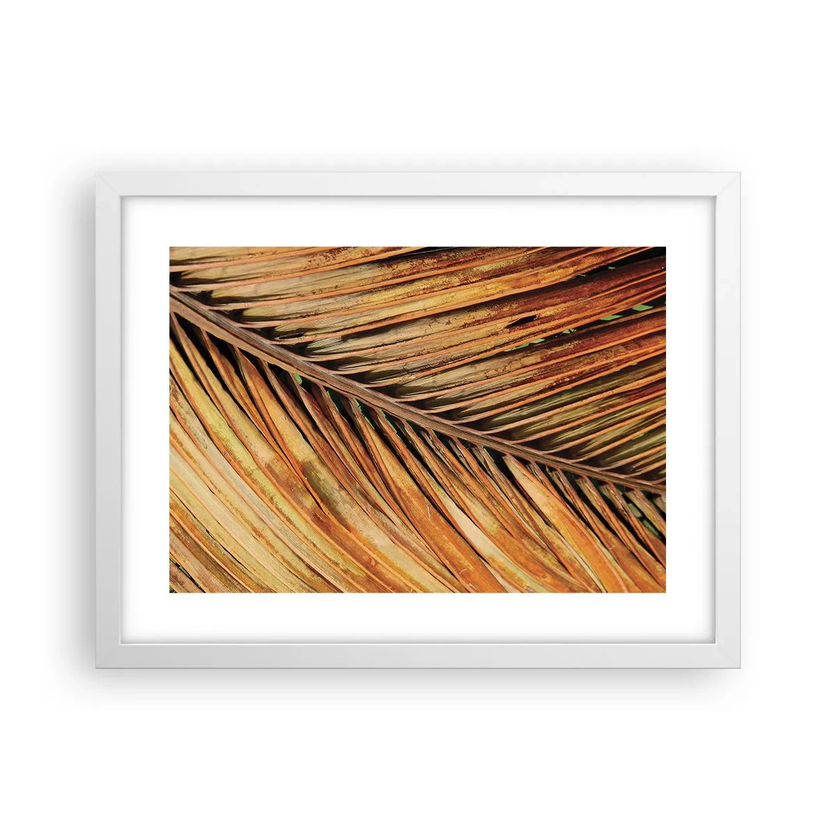 Affisch i vit ram - Kokosguld - 40x30 cm
