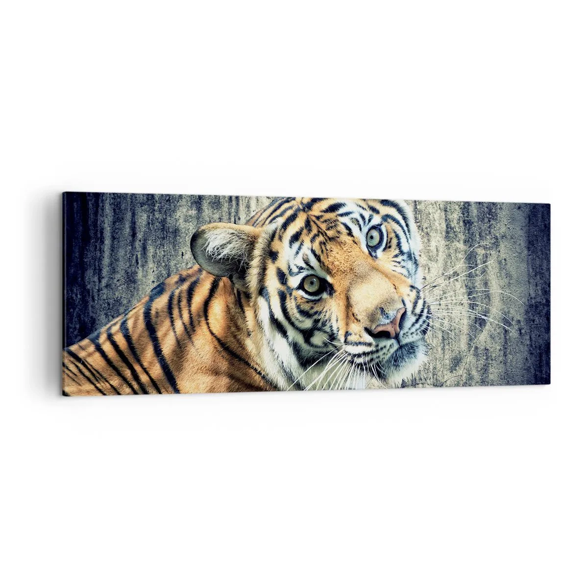 Canvastavla - Bild på duk - Porträtt i ljusstrålar - 140x50 cm