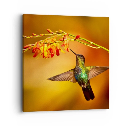 Canvastavla - Bild på duk - Ljusbud enligt Mayafolket - 40x40 cm