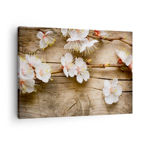 Canvastavla - Bild på duk - Grenar av blommande körsbärsträd på en träskiva bakgrund - 70x50cm - Och så blev det vår - Modern väggdekoration för vardagsrum och sovrum ARTTOR