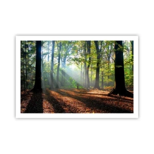 Affisch - Sken-och skuggspel - 91x61 cm