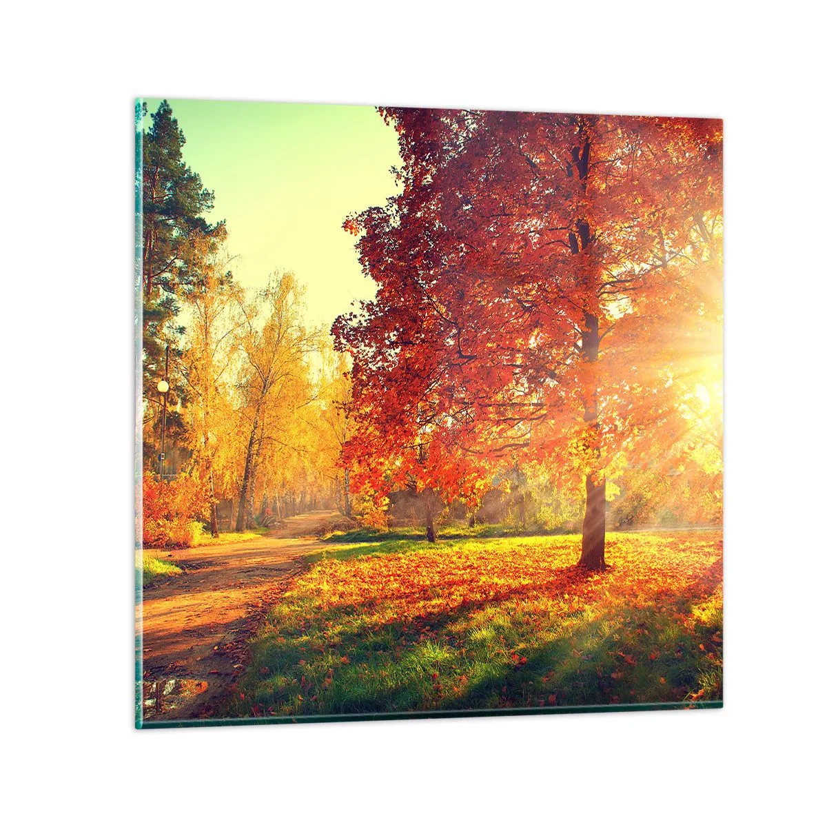 Glastavla - Bild på glas - Rött är vackert - 30x30 cm