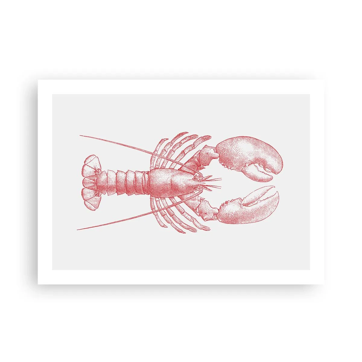 Affisch - Hummer värdig Homer - 70x50 cm