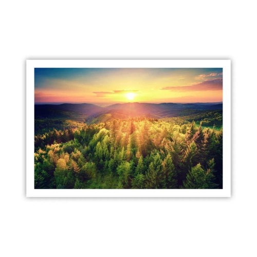 Affisch - Trädtoppar och bergstoppar - 91x61 cm