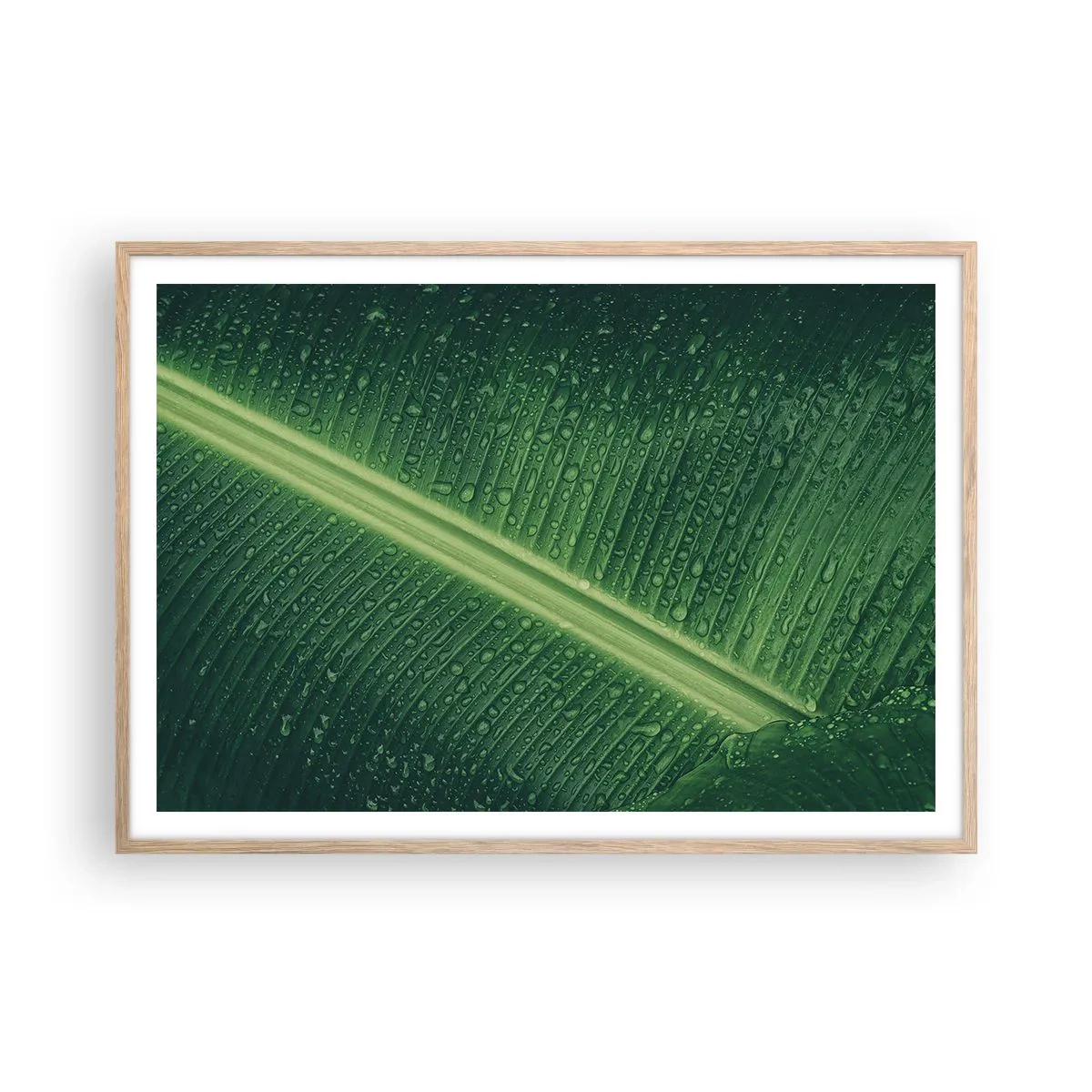 Affisch i ram av ljusek - Grönskans struktur - 100x70 cm