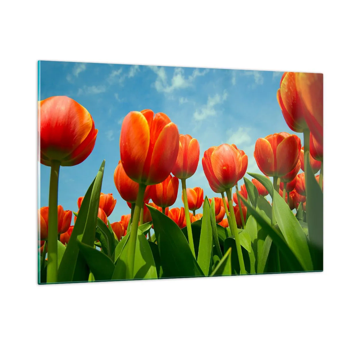 Glastavla - Bild på glas - Förutom blå himmel behöver vi inget annat i livet - 120x80 cm