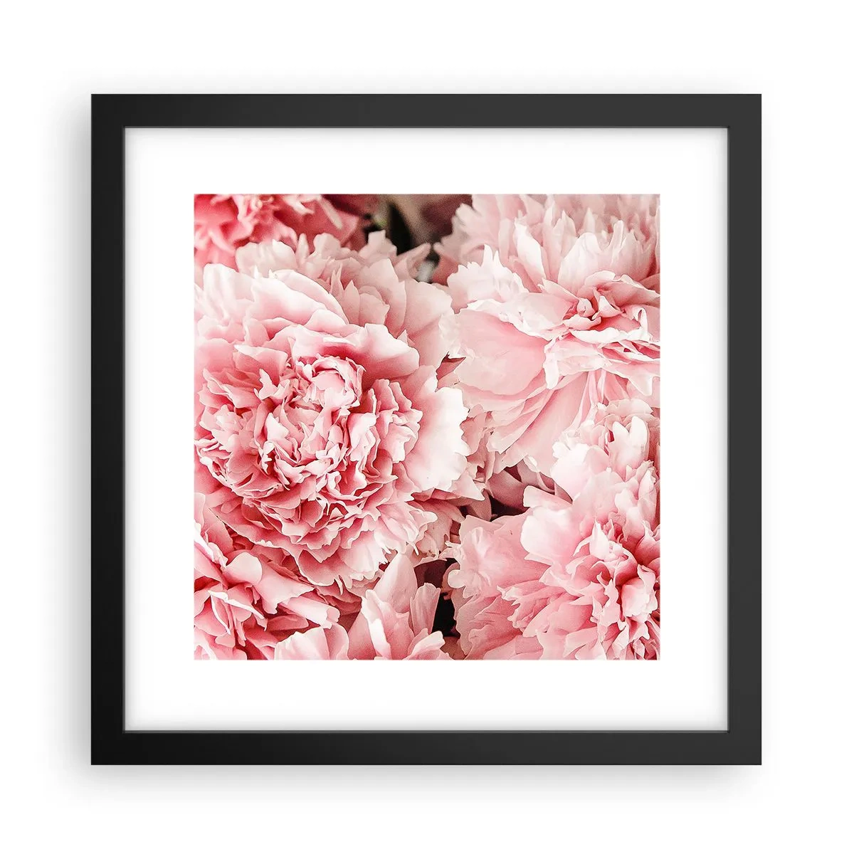Affisch i svart ram - Rosa dröm - 30x30 cm