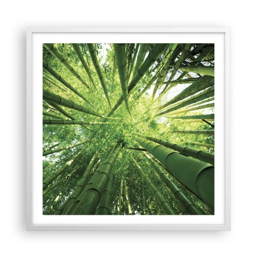 Affisch i vit ram - I en bambushage - 60x60 cm